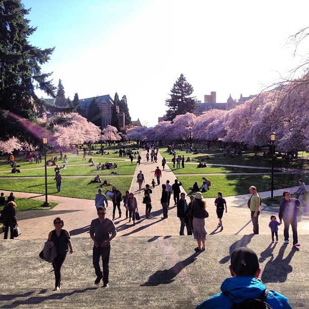 Your cliche University of Washington photo for this year :D